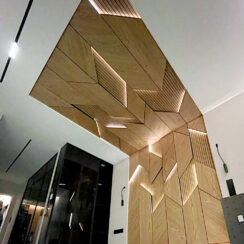 veneer and leds veneer and leds